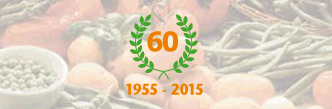 SHW 15 60 Jahre Logo