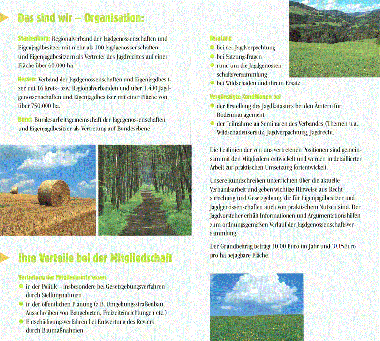 VJES