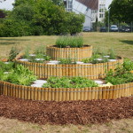 Kräutergarten für die Wilhelm-Leuschner-Schule