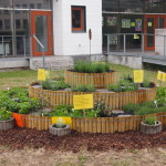 Kräutergarten für die Wilhelm-Leuschner-Schule