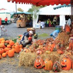 25. Odenwälder Bauernmarkt der Jubiläums-Bauernmarkt in Erbach