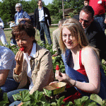 Erdbeeren - Saisonstart 2011