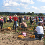 Ernährungsbildung auf dem Kartoffelacker