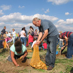 Ernährungsbildung auf dem Kartoffelacker