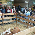 10. Kreisbauernmarkt Groß-Gerau