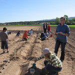 Ernährungsbildung auf dem Kartoffelacker