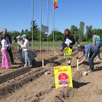 Ernährungsbildung auf dem Kartoffelacker