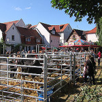 20. Bauernmarkt Groß-Umstadt