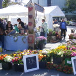 Bildergalerie Bauernmarkt Darmstadt 2015