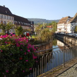 Herbstgenuss im Elsass „Auf deutsch-französischen Freundschaftswegen“