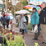 18. Kreis-Bauernmarkt Groß-Gerau