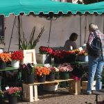 Bilder Bauernmarkt Darmstadt