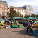 Bilder Bauernmarkt Darmstadt