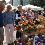 Bilder Bauernmarkt Darmstadt