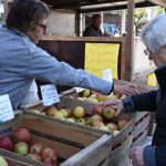 Darmstädter Bauernmarkt 2017