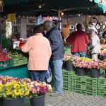 Bildergalerie 20. Kreisbauernmarkt Groß-Gerau