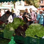 Bildergalerie 20. Kreisbauernmarkt Groß-Gerau