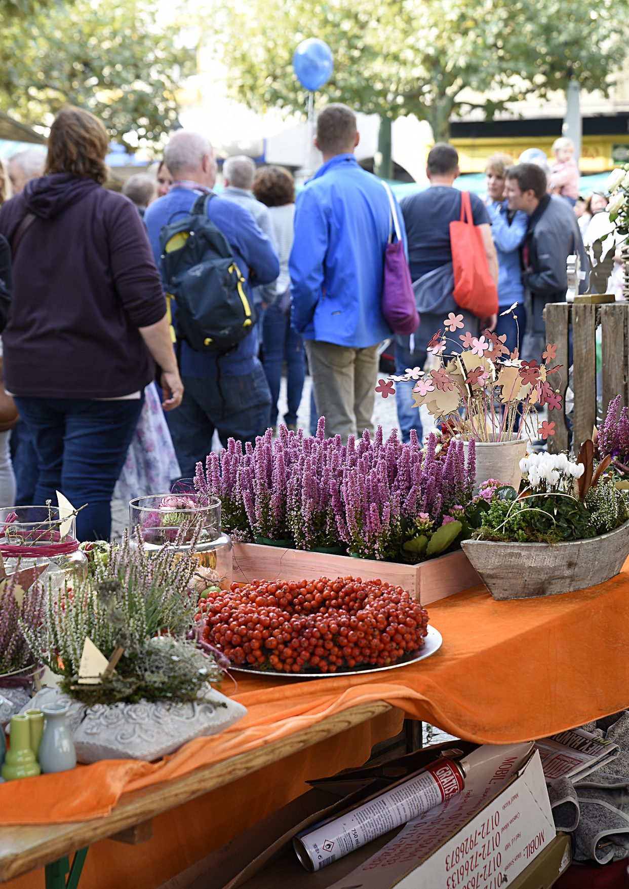 21. Kreisbauernmarkt Groß-Gerau