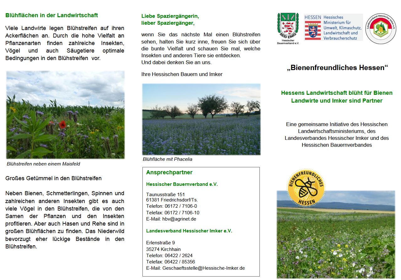 Aktion "Bienenfreundliches Hessen!