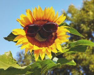 Arbeitsschutzmaßnahmen bei Sommerhitze