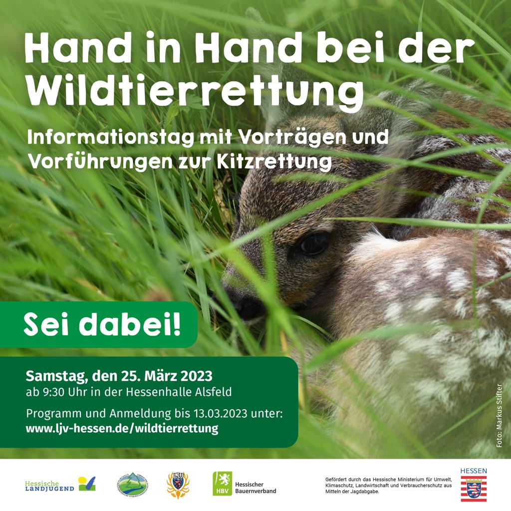 "Hand in Hand bei der Wildtierrettung"